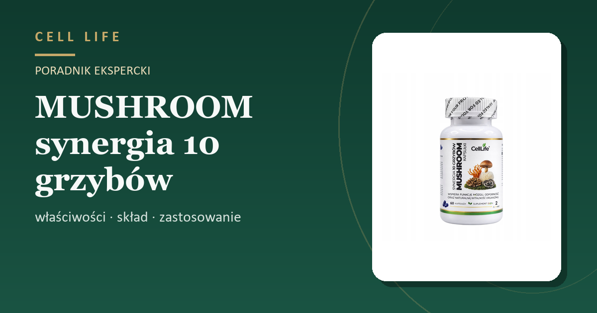 MUSHROOM synergia 10 grzybów — właściwości, skład i zastosowanie