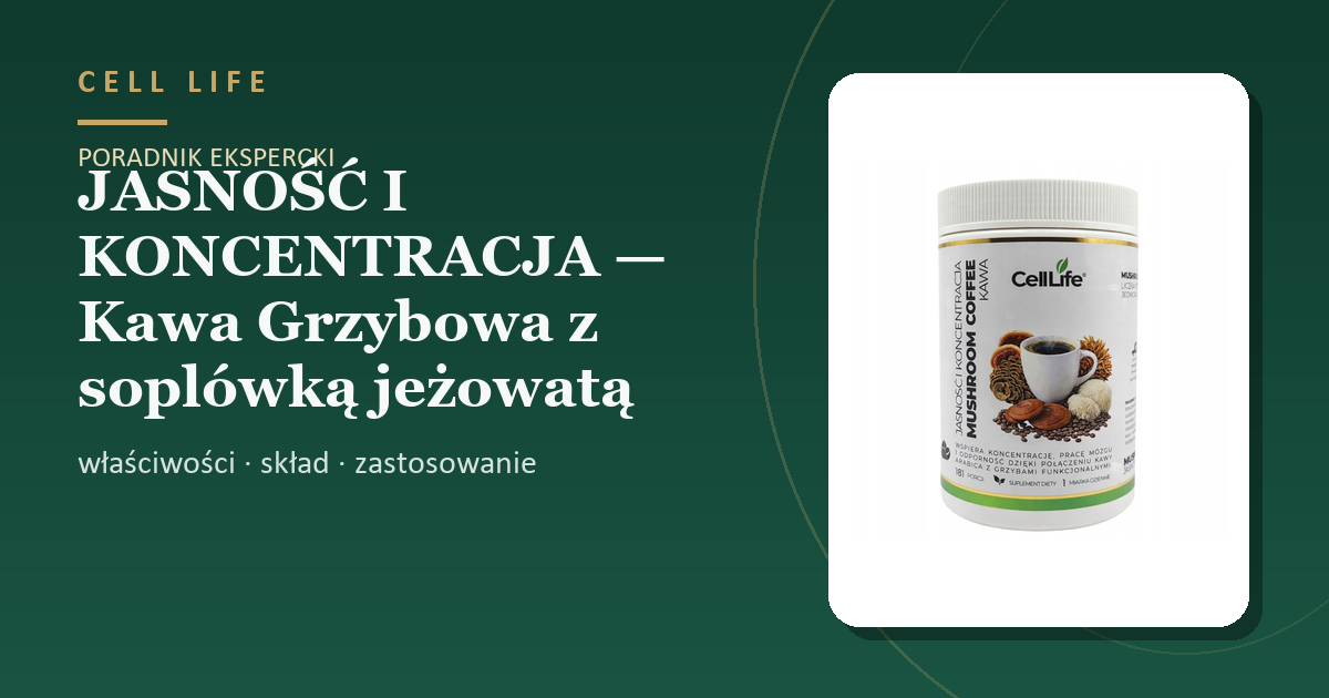 JASNOŚĆ I KONCENTRACJA — Kawa Grzybowa z soplówką jeżowatą — właściwości, skład i zastosowanie
